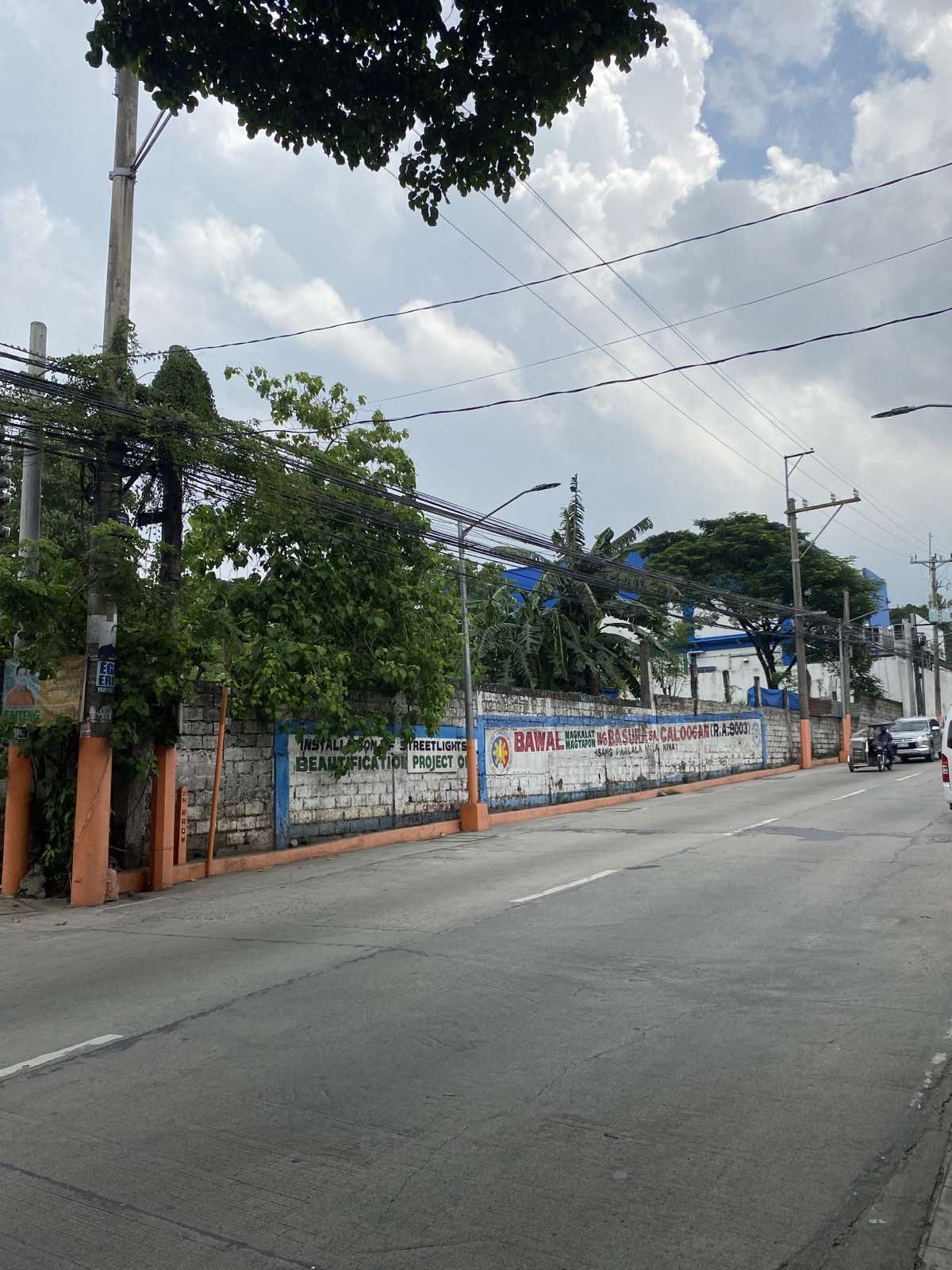 Commercial Corner Lot — Bagombong, North Caloocan — photo 5 of 7