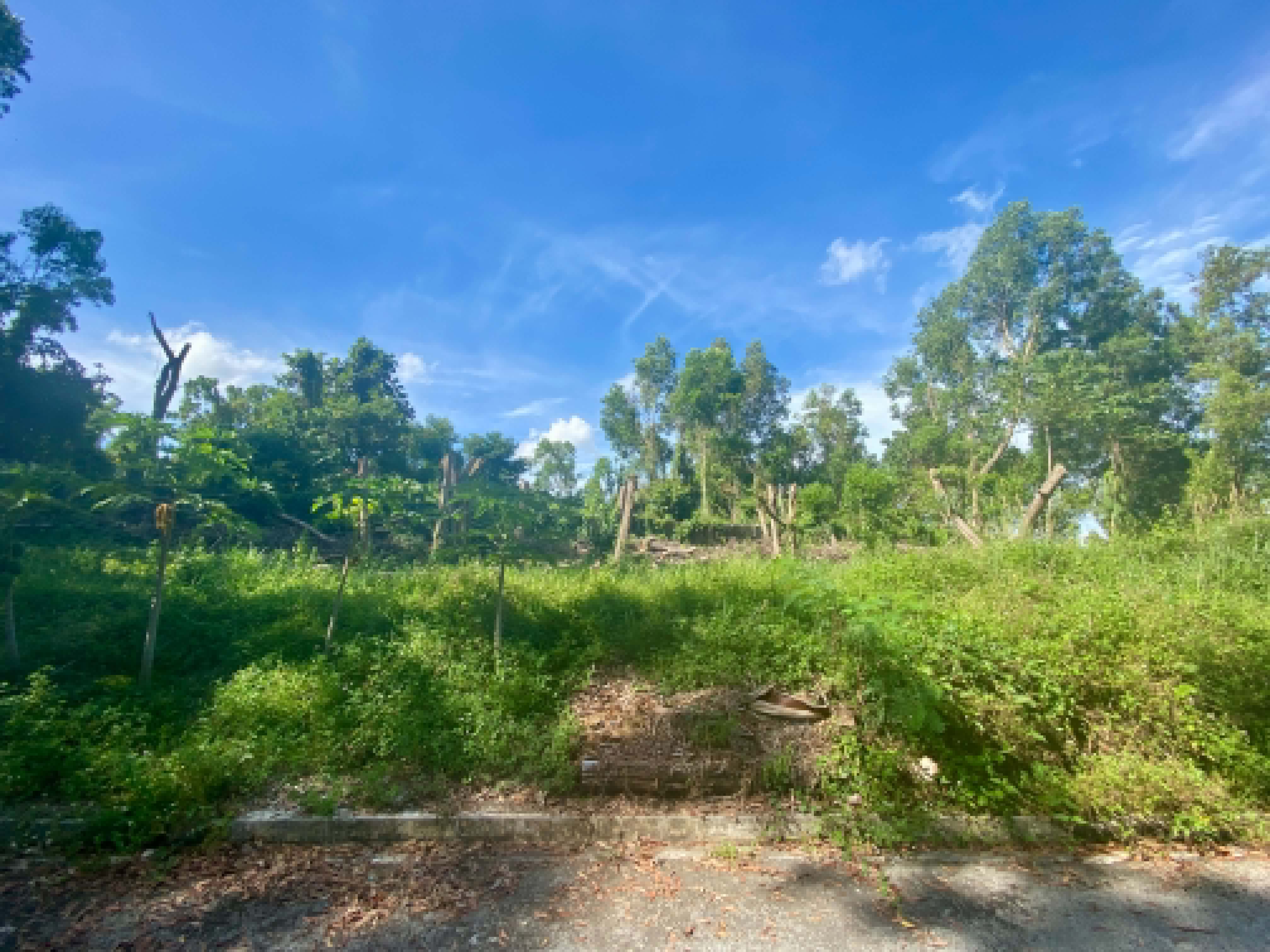 View Lot — Sun Valley Golf Estate, Antipolo — photo 2 of 15