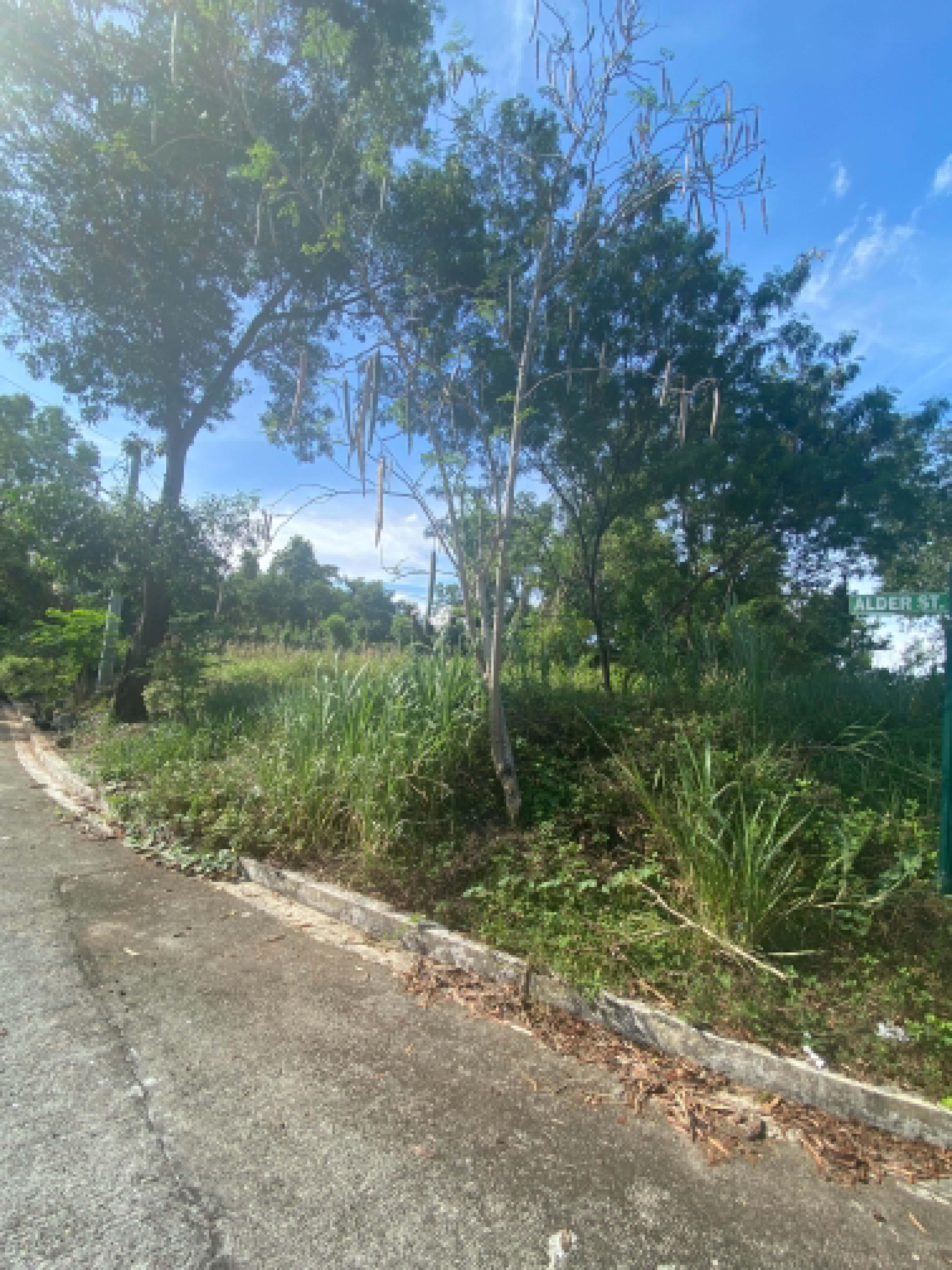 View Lot — Sun Valley Golf Estate, Antipolo — photo 4 of 15