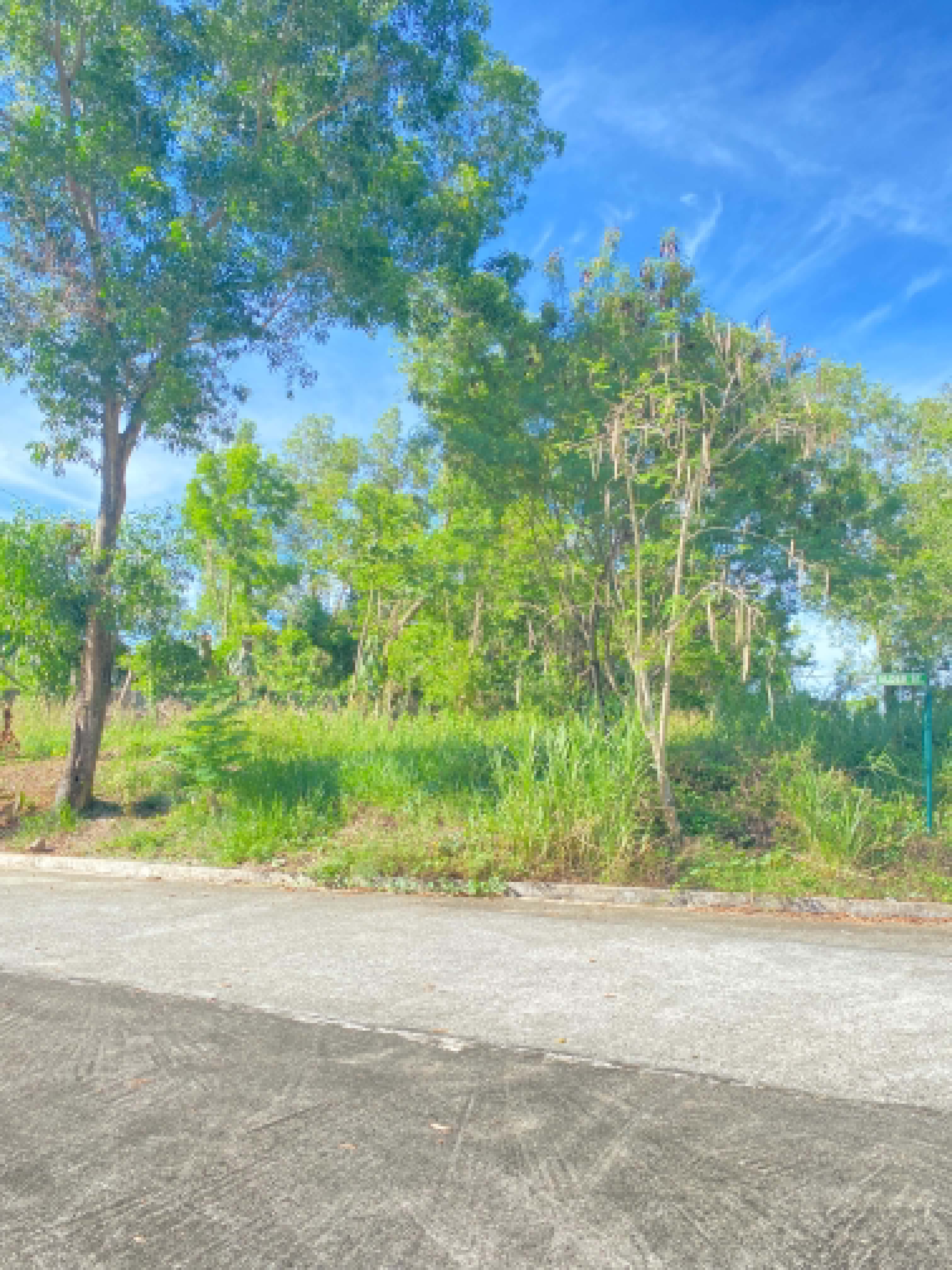 View Lot — Sun Valley Golf Estate, Antipolo — photo 6 of 15