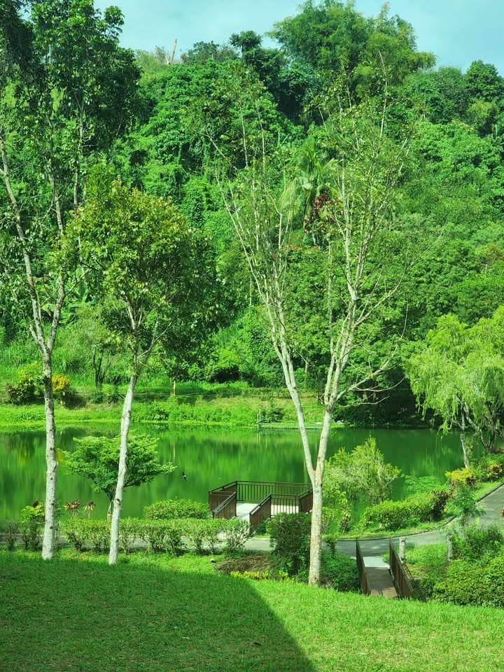 Premium View Lot — Sun Valley Golf Estate, Antipolo — photo 5 of 15