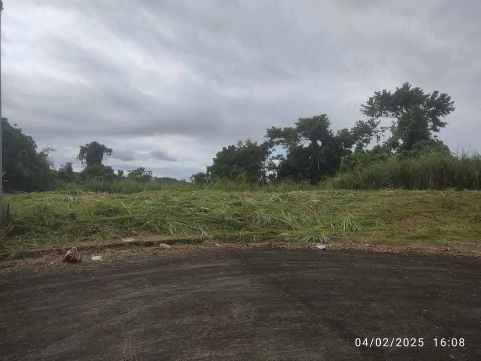 Premium View Lot — Sun Valley Golf Estate, Antipolo — photo 6 of 15
